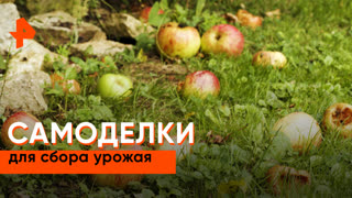 «Самая полезная программа»: самоделки для сборки урожая
